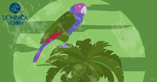 پرنده ملی دومینیکا